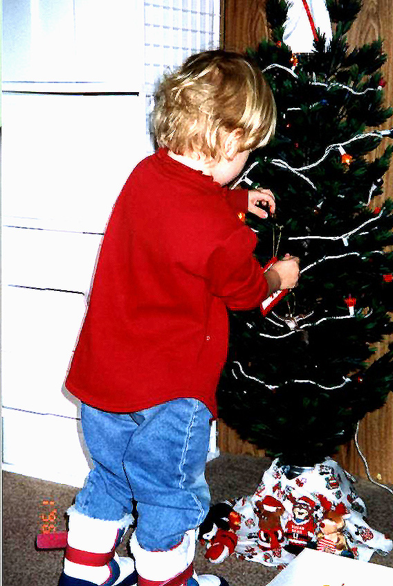 #1996-12-01 #2 Put it on the tree. CO..jpg